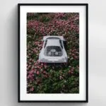 Ferrari Çiçek Açiyor