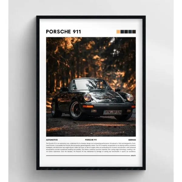 PORSCHE 911 (Beyaz Havuz)