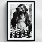 Monkey X Chess Premium Duvar Koleksiyonu