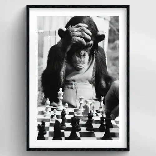 MONKEY X CHESS PREMIUM DUVAR KOLEKSİYONU