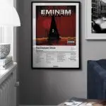 Eminem - The Eminem Show Albüm Koleksiyonu - Görsel 4