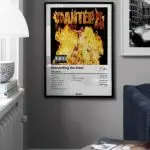 Pantera - Reinventing The Steel Albüm Koleksiyonu - Görsel 4