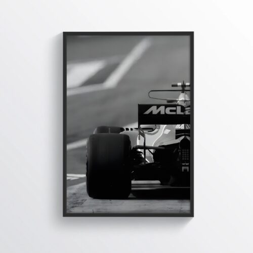 F1