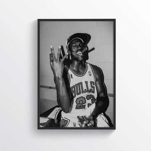 Jordan Iconic B&W